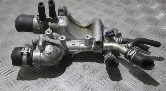 Thermostat/thermostat housing