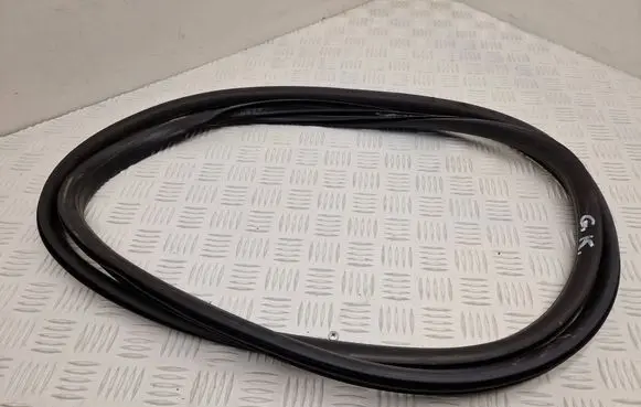 Renault Scenic E-Tech V Rear door rubber seal (on body) 