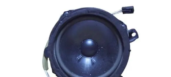 Cadillac BLS Front door speaker