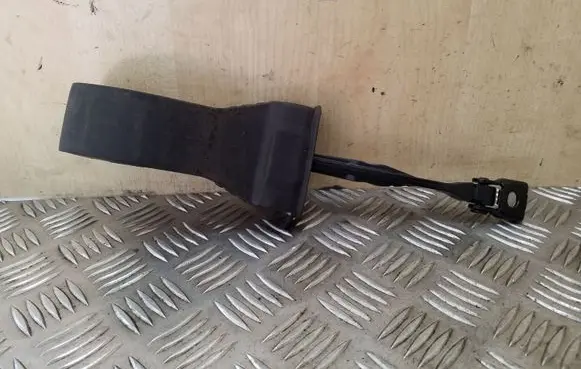 Volkswagen PASSAT B8 Front door check strap stopper 3G0837249A