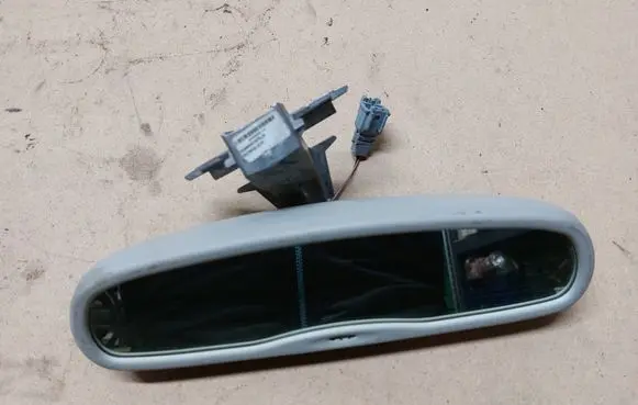 Renault Laguna III Rear view mirror (interior) 8200581875