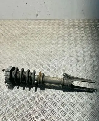 Porsche Panamera (970) Front shock absorber with coil spring 97034303644