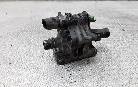 Thermostat/thermostat housing
