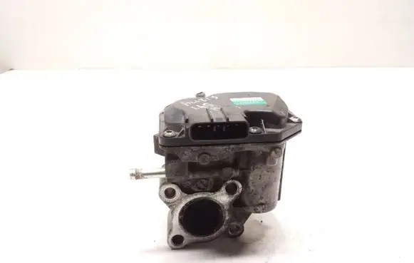EGR valve