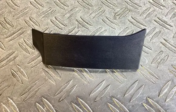 Rear/tail light trim molding