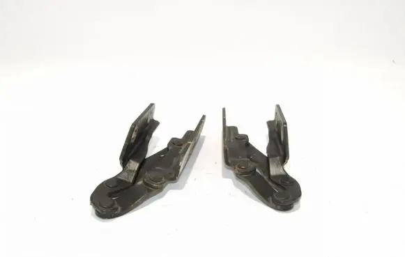 Engine bonnet/hood hinges