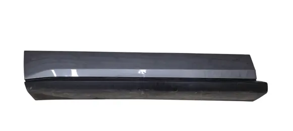 Ford Edge II Front door trim (molding) FT4BR20307 FT4BR20307DDW AYFVA