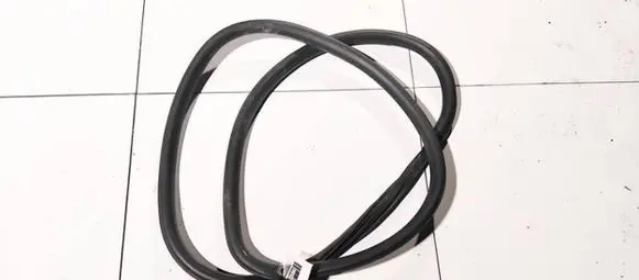Opel Insignia A Rubber seal front coupe door 
