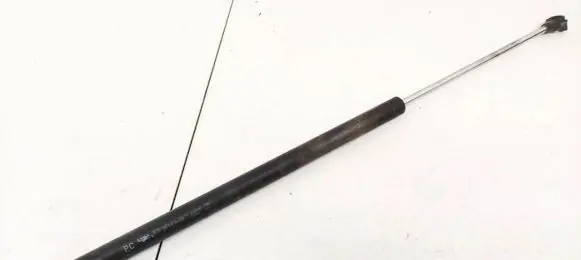 Peugeot 807 Tailgate/trunk strut/damper 1492653080
