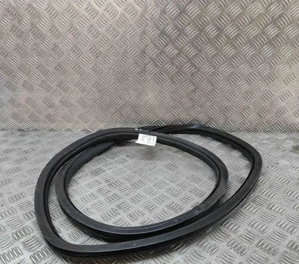 Mercedes-Benz EQE v295 Rubber seal rear door A2956970300