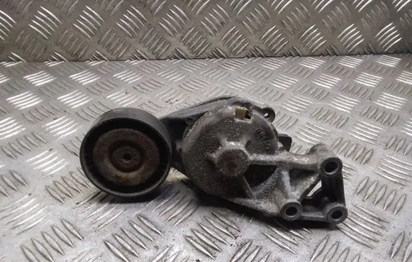 Seat Alhambra (Mk1) Generator/alternator belt tensioner