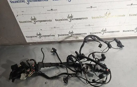 BMW 5 F10 F11 Engine installation wiring loom 8509131 53781210