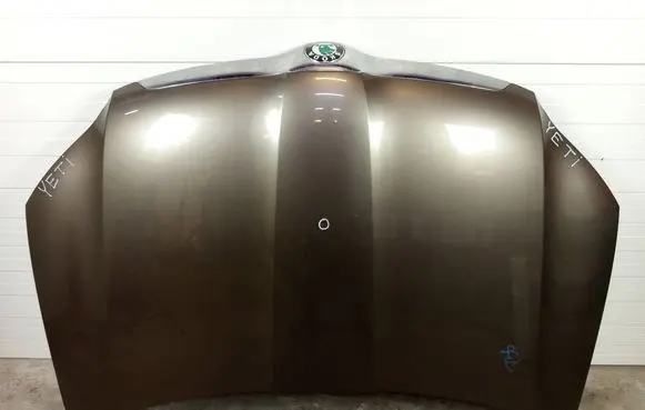 Engine bonnet/hood