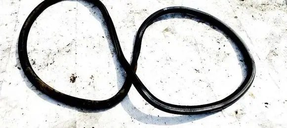 Opel Astra L Rubber seal front coupe door 984714238000