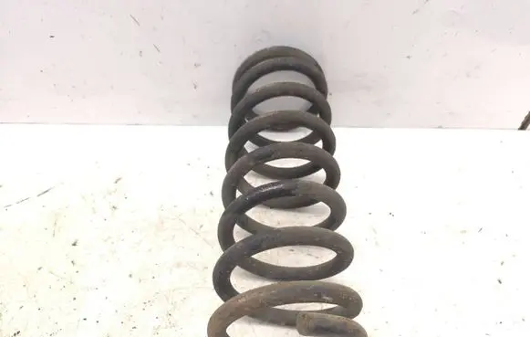 Rear coil spring