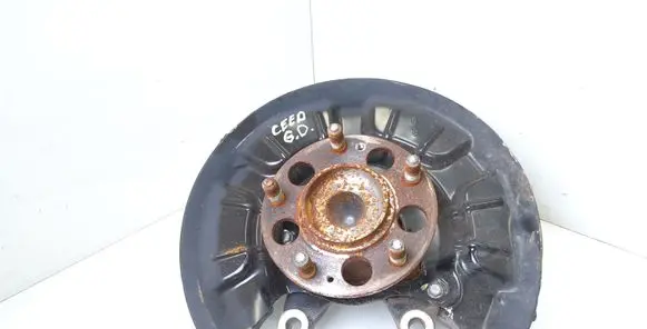 KIA Ceed Rear wheel hub spindle/knuckle 