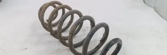 Seat Leon (1M) Rear coil spring
