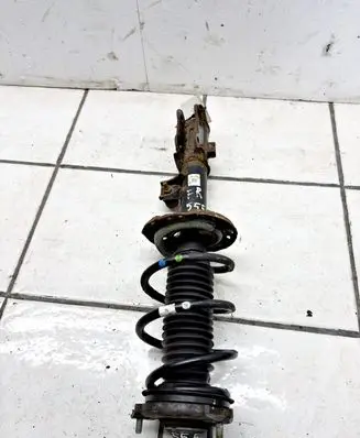 KIA Sportage Front shock absorber with coil spring 54660F1000