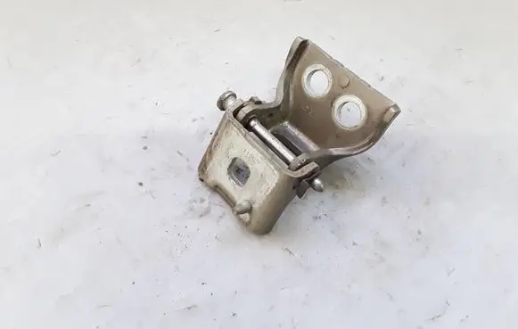 Citroen C4 Grand Picasso Rear door lower hinge ES70