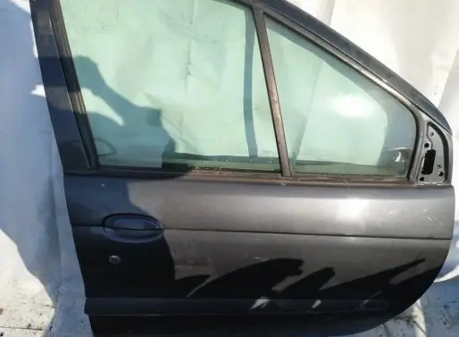 Renault Scenic I Front door pilkos
