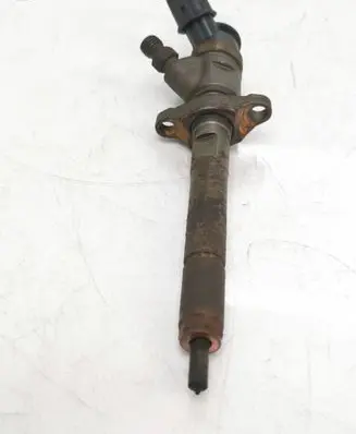 Citroen C3 Fuel injector 0445110311 620033