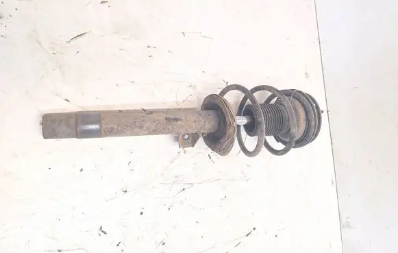 Front shock absorber with coil spring