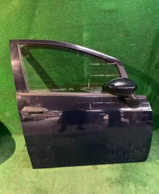 Fiat Punto Evo Front door 
