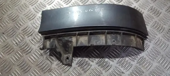 Rear/tail light trim molding