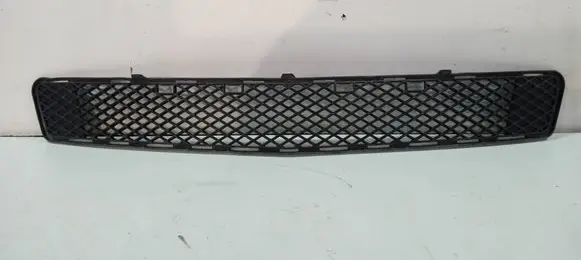 Front bumper lower grill