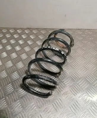 Front coil spring