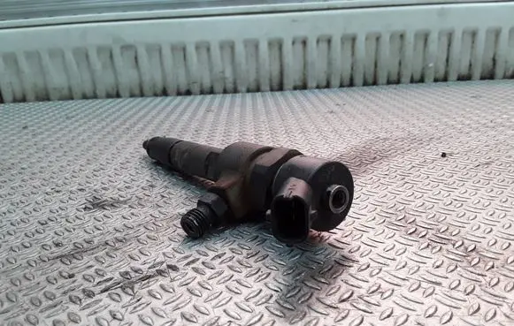 Fiat Stilo Fuel injector 0445110119