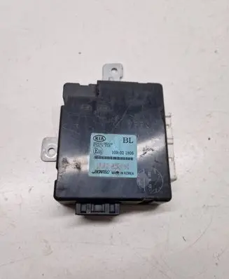 KIA Sorento Other control units/modules 954003E310
