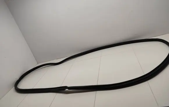 Toyota RAV 4 (XA50) Front door rubber seal 