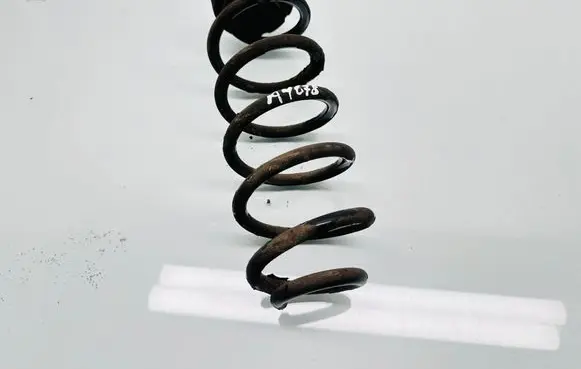 Rear coil spring