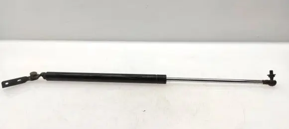 Tailgate strut