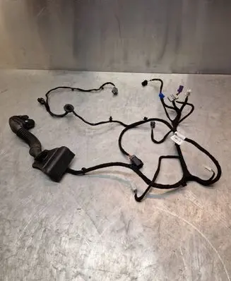 Front door wiring loom