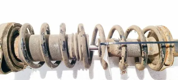 Rear coil spring
