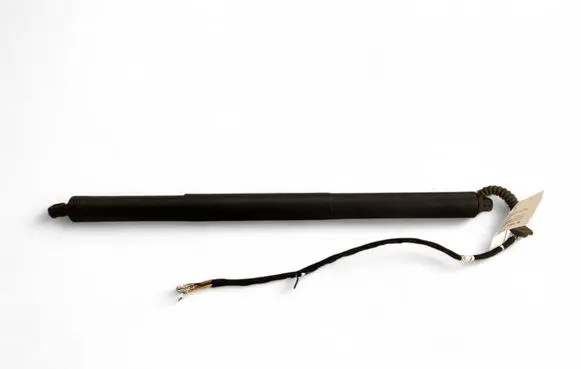 Tailgate/trunk strut/damper