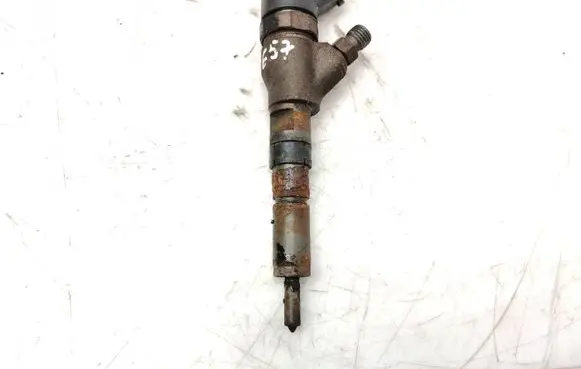 Citroen Xsara Picasso Fuel injector 0445110076 9641742880