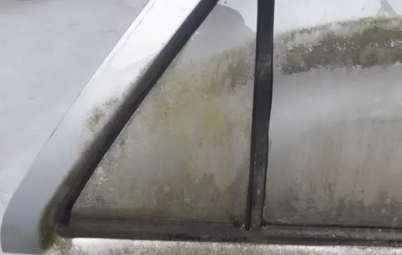 Rear vent window glass