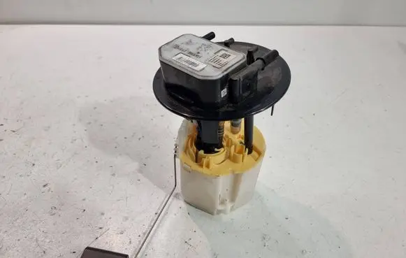 Peugeot Expert In-tank fuel pump 28502471 150920 28500632