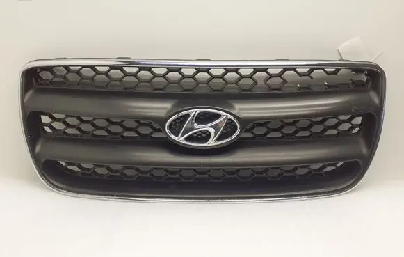 Hyundai Santa Fe Front bumper upper radiator grill E865612B000
