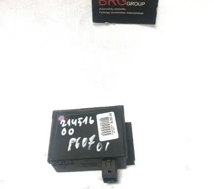 Peugeot 607 Other control units/modules 9641164580 73656112 9633024080
