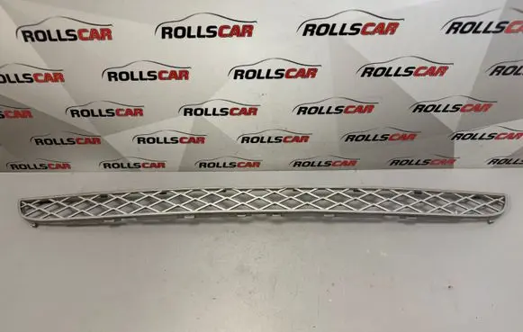 BMW X6 E71 Front bumper lower grill 51117159597