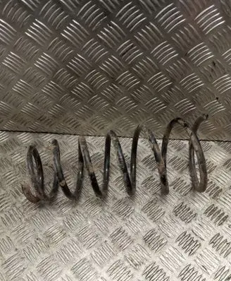 Rear coil spring