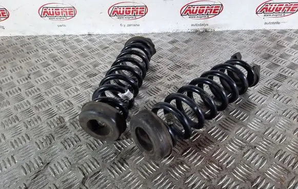 BMW 3 GT F34 Rear coil spring