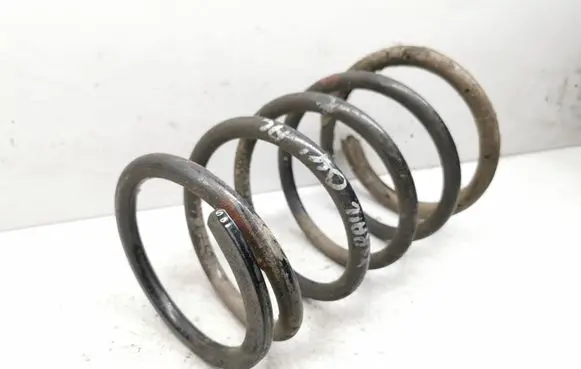 Rear coil spring