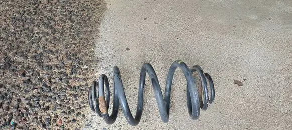 Rear coil spring