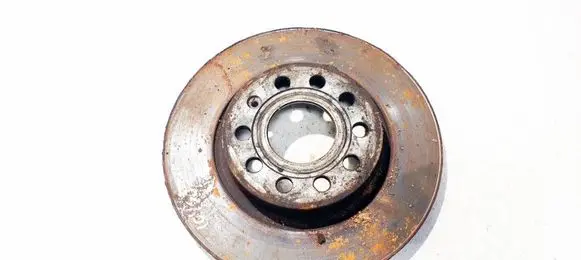 Volkswagen Golf V Front brake disc ventiliuojamas