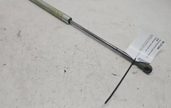 Tailgate/trunk strut/damper